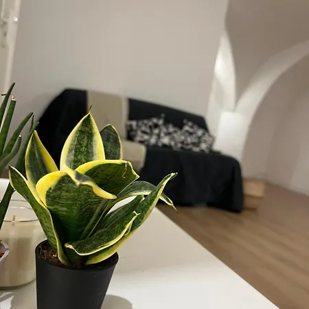 Vagaluna Short Catania